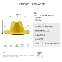 Wide Brim Fedora Hat